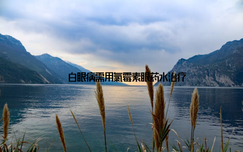 – 白眼病需用氯霉素眼药水治疗