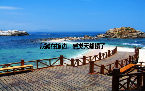 我蹲在塘边, 感觉天都塌了