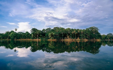 说实话, 头一年真不容易