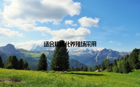 适合规模化养殖场采用