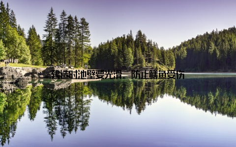 建造时池壁要光滑, 防止鳝鱼受伤