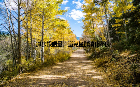 – 减少投喂量, 避免鱼群消化不良