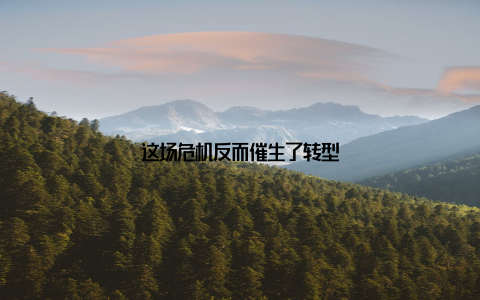 这场危机反而催生了转型