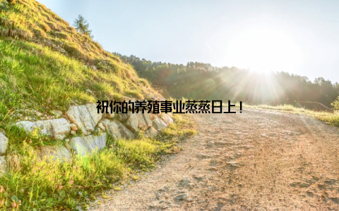 祝你的养殖事业蒸蒸日上!