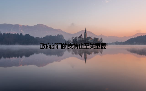 政府部门的支持也至关重要