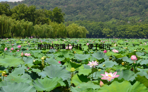 池底以沙壤土为佳, 便于排污