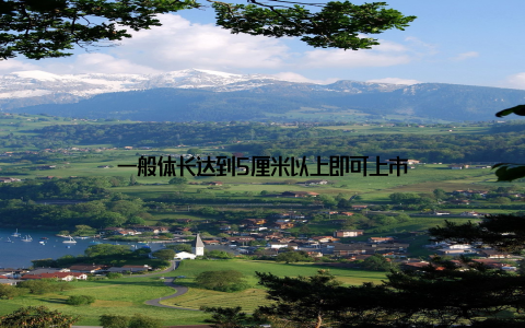 一般体长达到5厘米以上即可上市