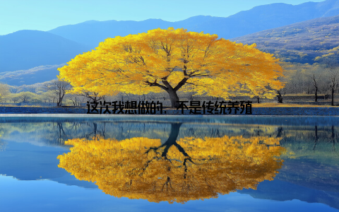这次我想做的, 不是传统养殖