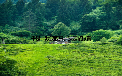 于是, 我咬咬牙, 决定试试看