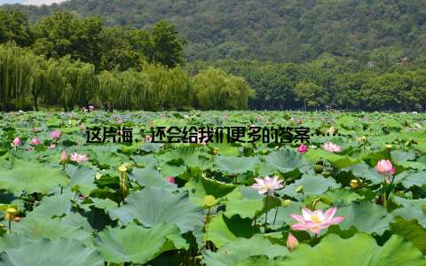 这片海, 还会给我们更多的答案……