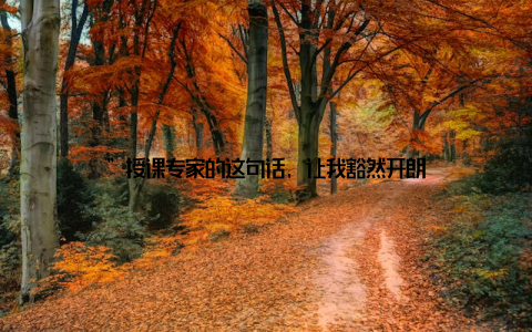 ”授课专家的这句话, 让我豁然开朗