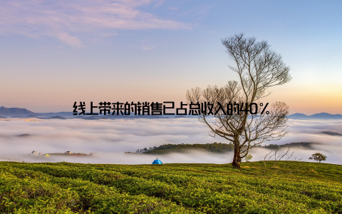 线上带来的销售已占总收入的40%
