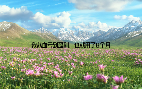 我从血亏到盈利, 也就用了8个月