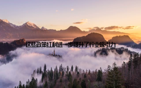 这些政策红利进一步提升了行业吸引力