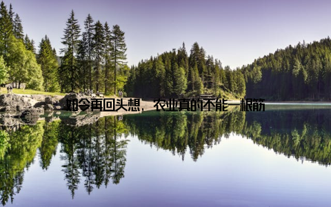 如今再回头想, 农业真的不能一根筋