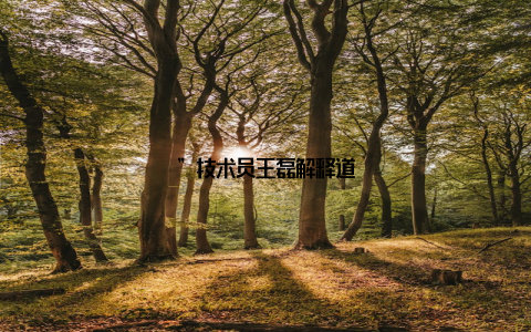 ”技术员王磊解释道