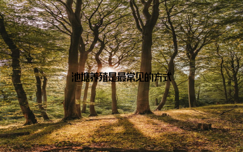 池塘养殖是最常见的方式