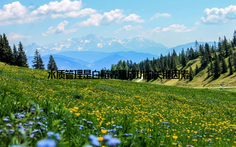 水质管理是白鲢养殖成功的关键因素