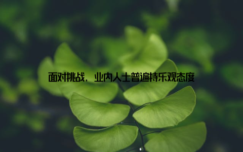 面对挑战, 业内人士普遍持乐观态度
