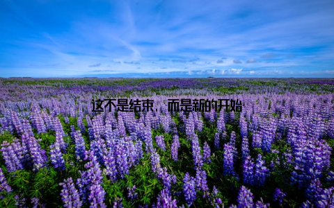 这不是结束, 而是新的开始