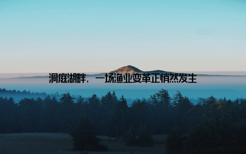 洞庭湖畔, 一场渔业变革正悄然发生