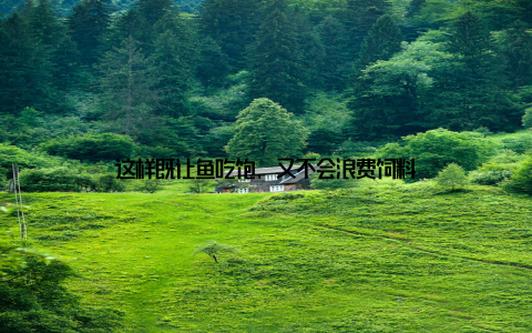 这样既让鱼吃饱, 又不会浪费饲料