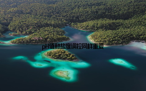 pH值和盐度调控同样重要