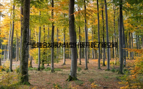 产业融合发展为转型升级开辟了新空间