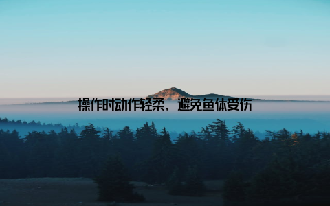 操作时动作轻柔, 避免鱼体受伤