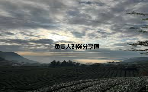 ”负责人刘强分享道
