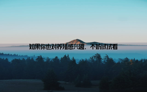 如果你也对养殖感兴趣, 不妨试试看