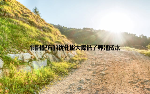 饲料配方的优化极大降低了养殖成本