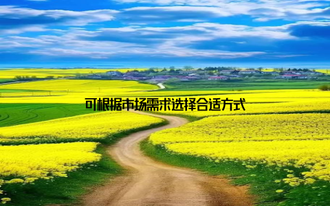 可根据市场需求选择合适方式