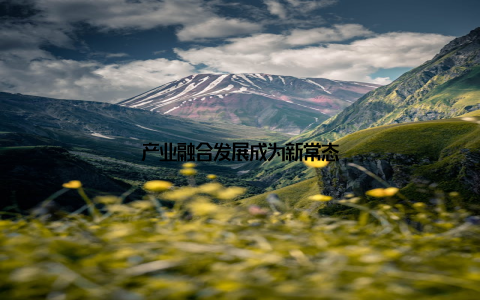产业融合发展成为新常态