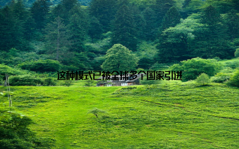 这种模式已被全球多个国家引进