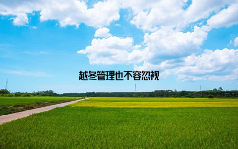 越冬管理也不容忽视