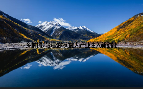 乡村振兴战略的实施为产业注入新动能