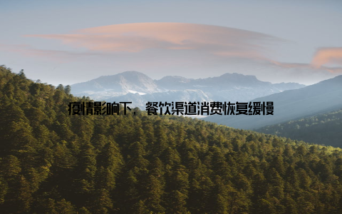 疫情影响下, 餐饮渠道消费恢复缓慢