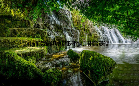 以前我总担心鱼吃不饱, 拼命多喂