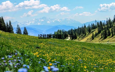 这些数字我烂熟于心