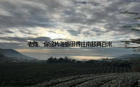 老陈, 你这片海蛎田得往南移两百米
