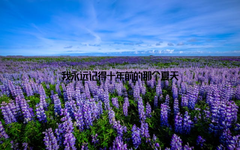 我永远记得十年前的那个夏天