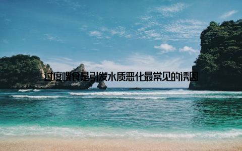 过度喂食是引发水质恶化最常见的诱因