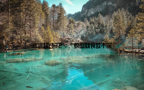 水温超过32℃, 螃蟹就食欲不振