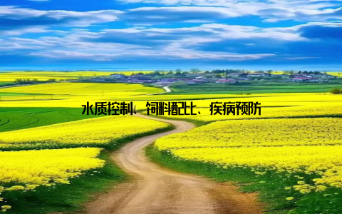 水质控制、饲料配比、疾病预防
