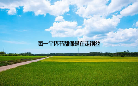 每一个环节都像是在走钢丝
