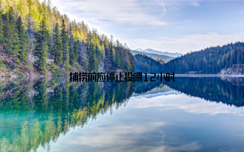 捕捞前应停止投喂12小时