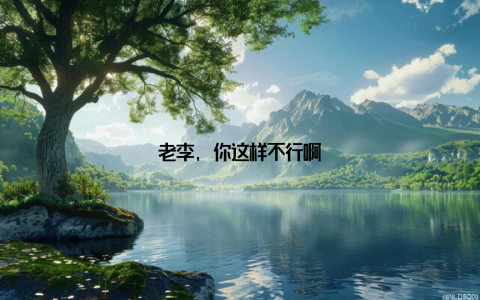 老李, 你这样不行啊