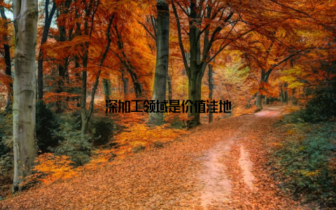 深加工领域是价值洼地
