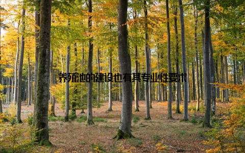 养殖池的建设也有其专业性要求